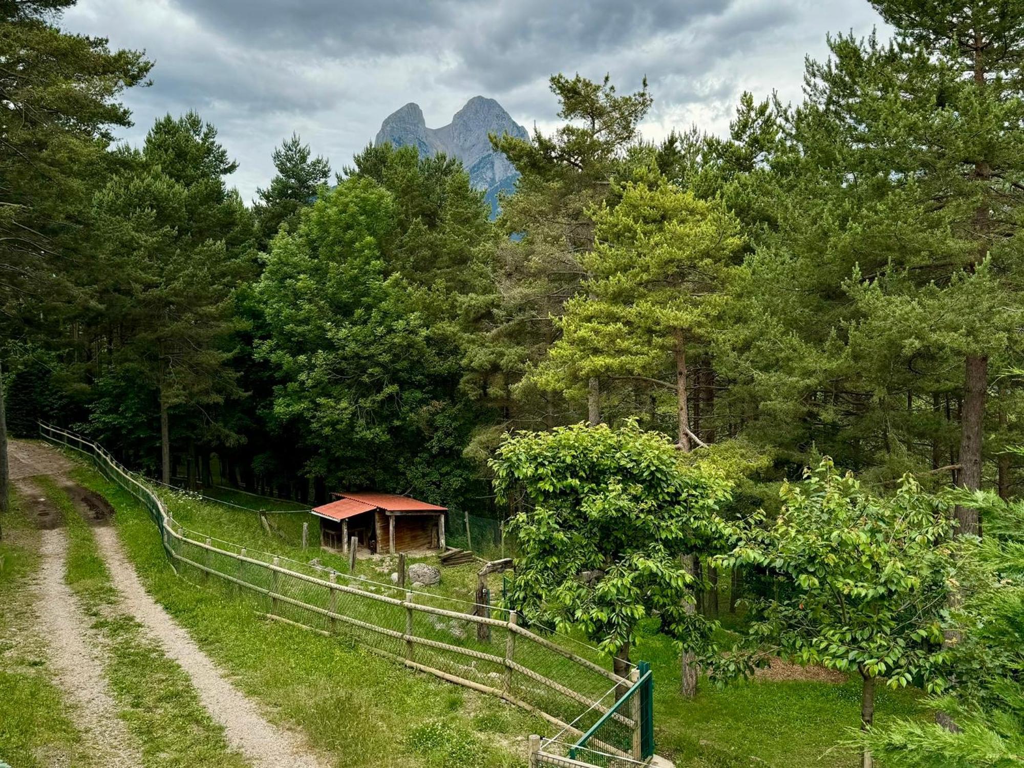 Willa Cal Roig - Pedraforca Saldés Zewnętrze zdjęcie